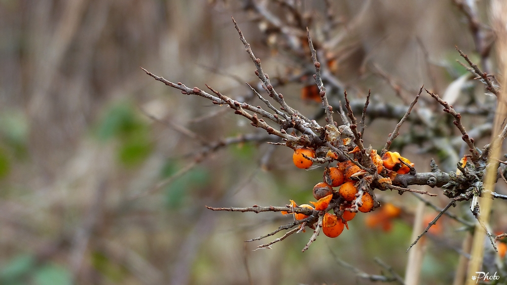 Farbe im Winter