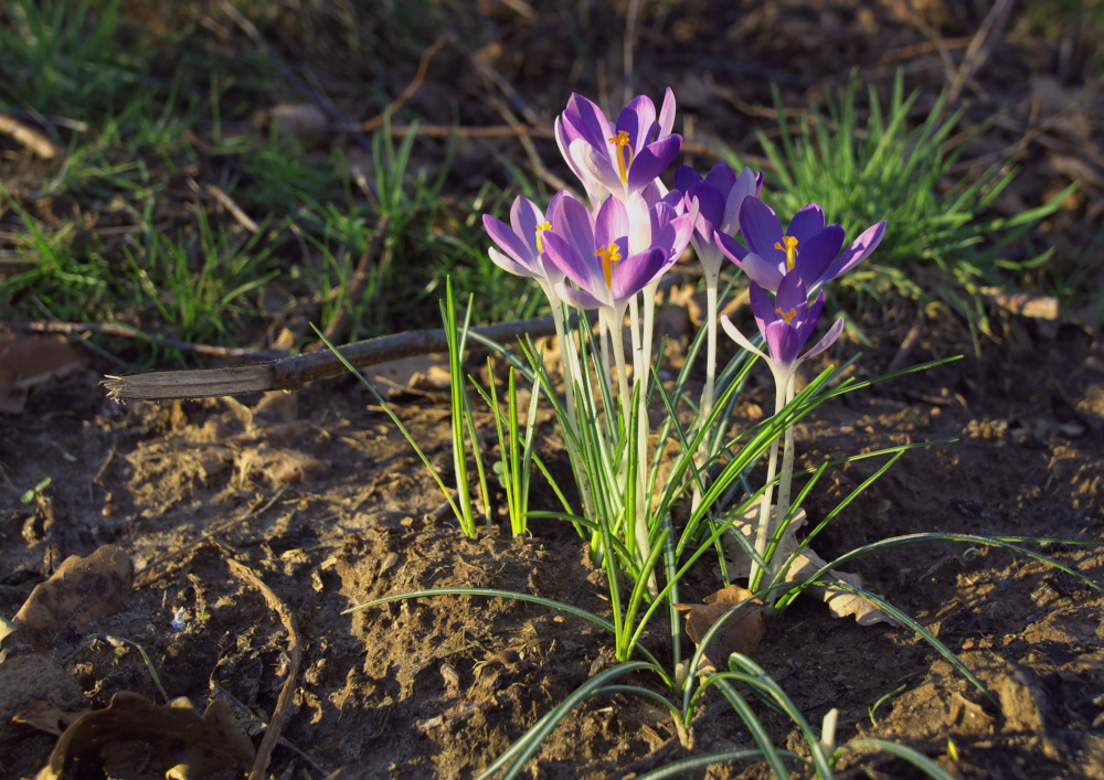 Farbe im Winter