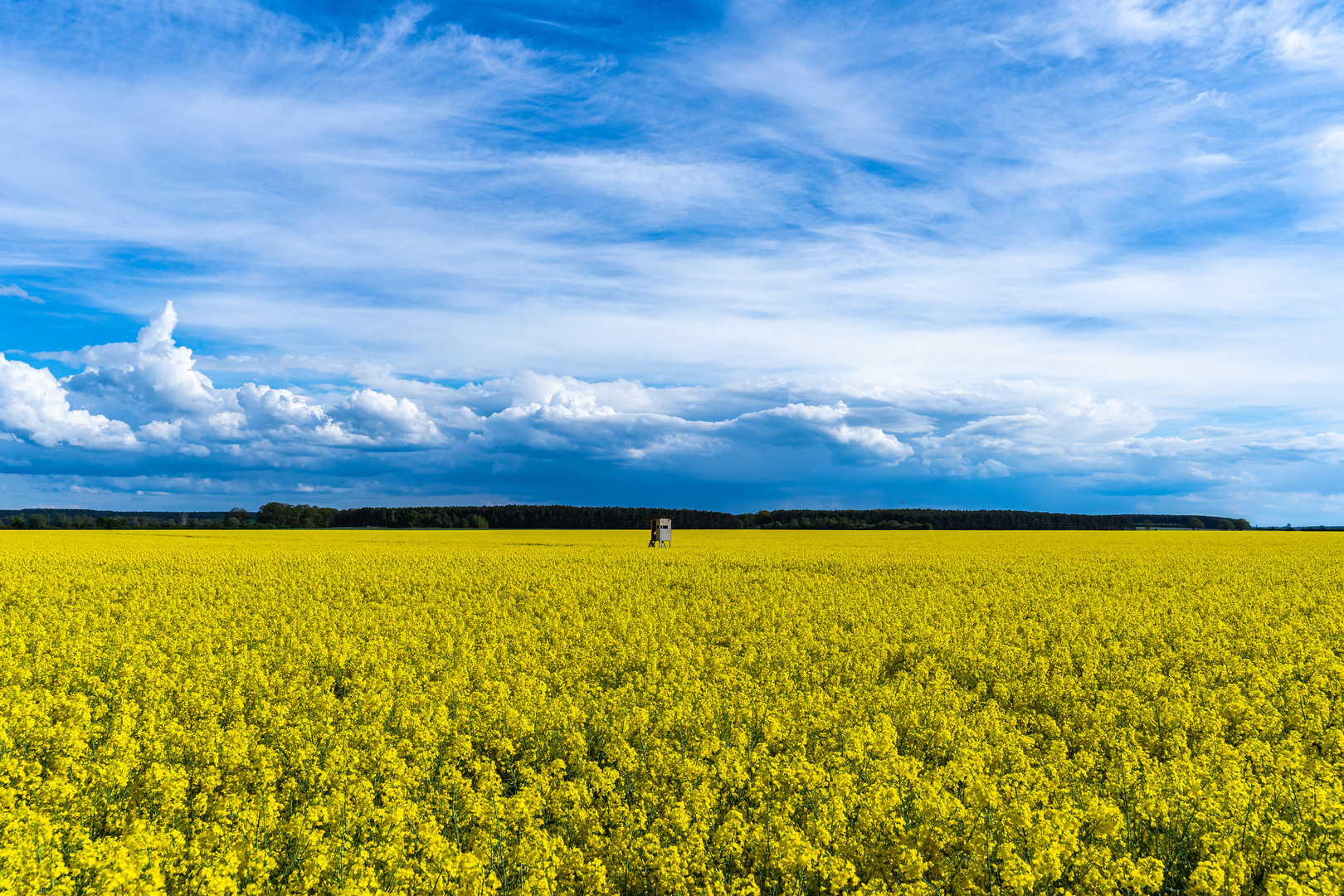 Farbe in der Landschaft