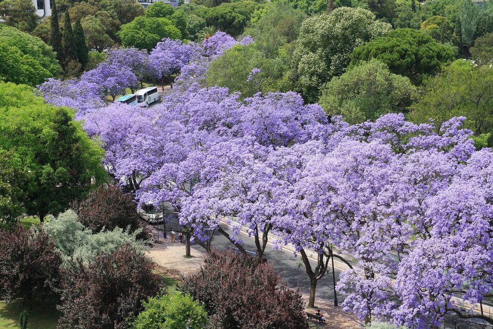 Farbe in der Stadt