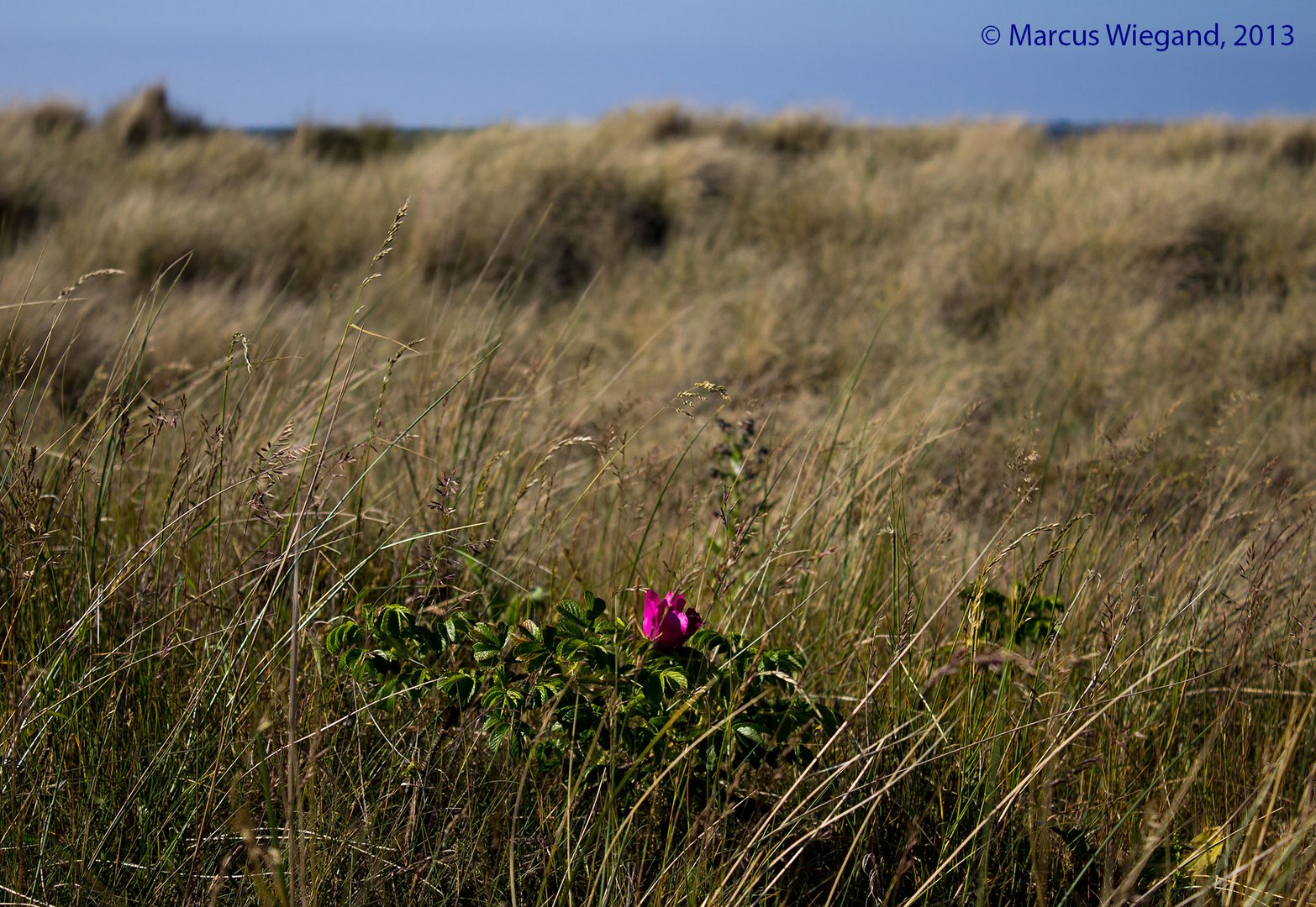 Farbe in der Tristesse