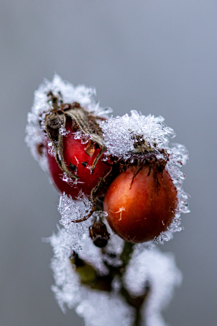 Farbe in Eis und Schnee 