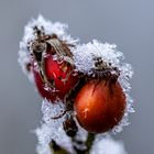 Farbe in Eis und Schnee 