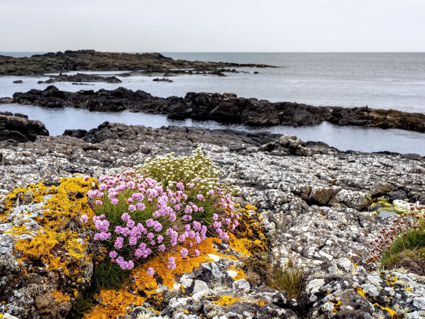 Farbe in grauer Landschaft