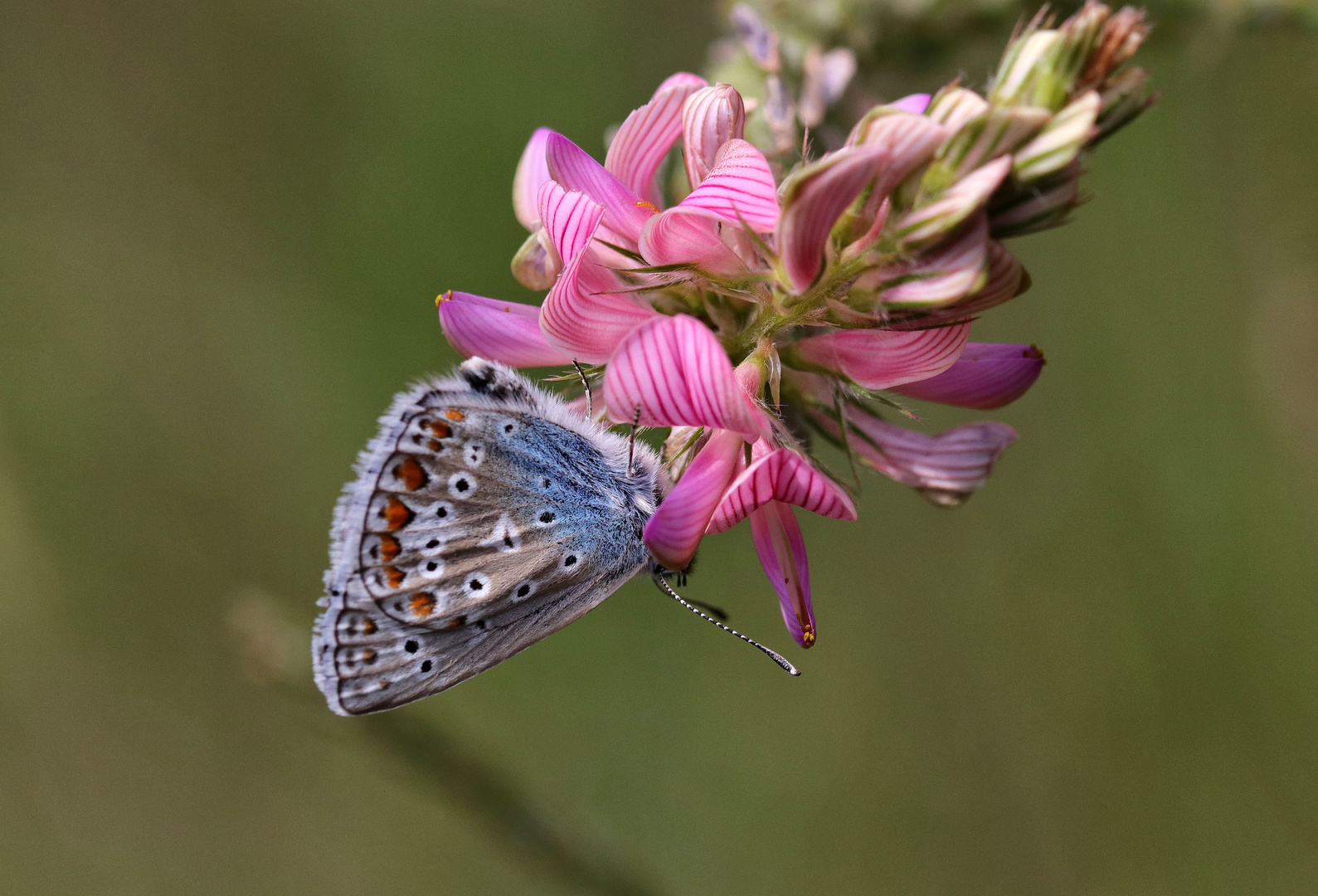 Farbe ins Grau bringen