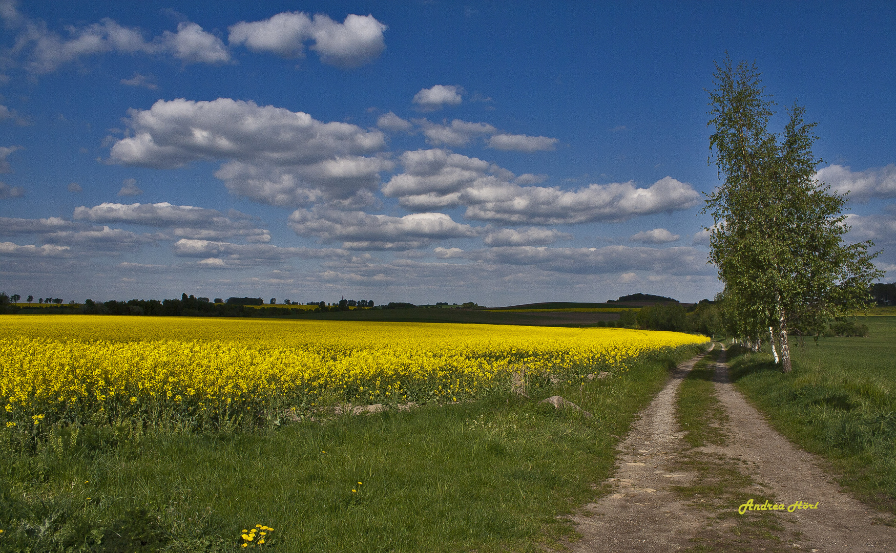 Farbe ins Spiel...