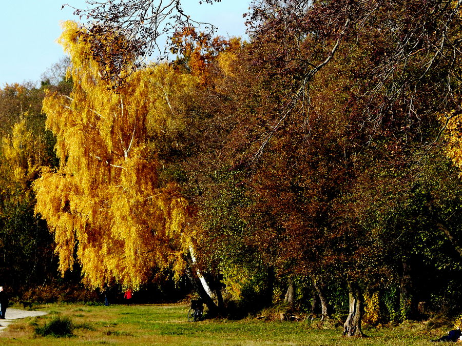 farbe Tanken (2)