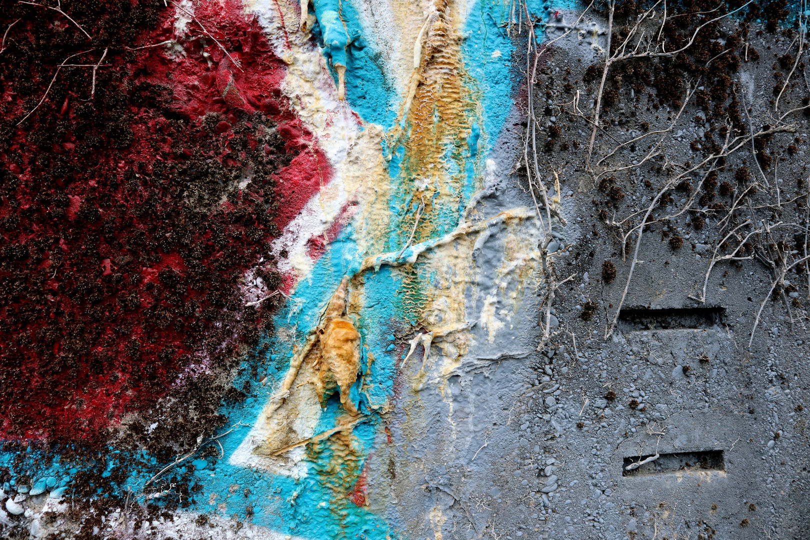 Farbe trifft Betonnatur........... Foto & Bild | dokumentation, natur