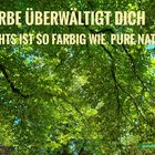 Farbe überwältigt dich - Natur pur!