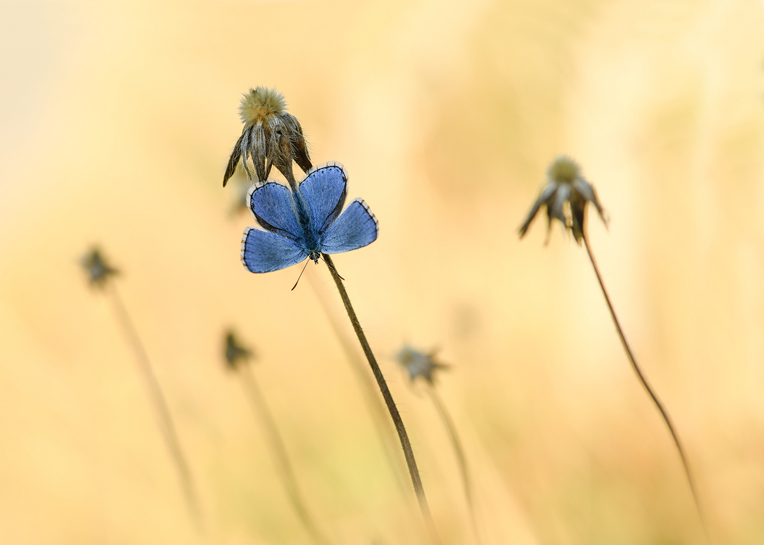 Farbe und Kontrast im Raum