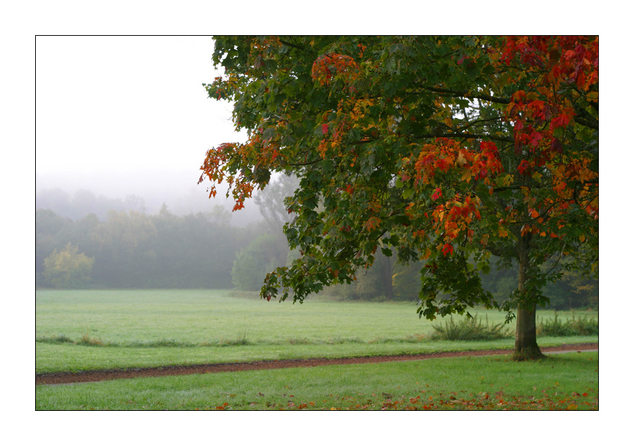 Farbe vor Nebel