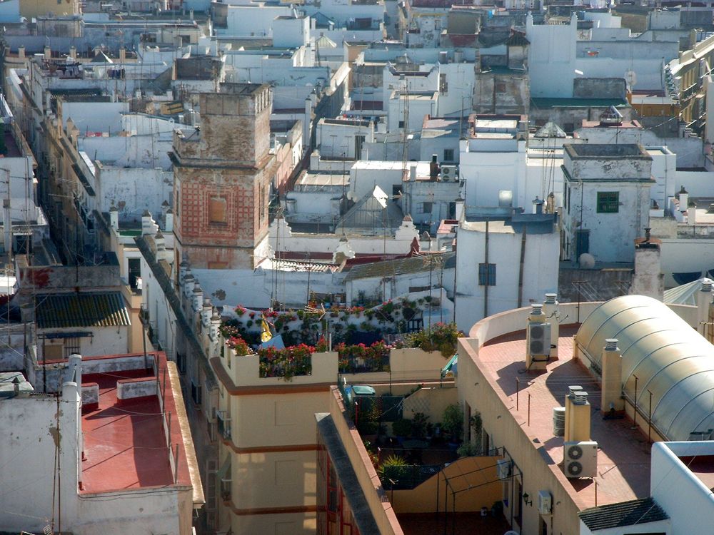 Farbe Weiß: Dächer in der Altstadt von Cádiz