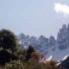 Farbe Weiß: Neuschnee im Rosengarten – mitten im Juli