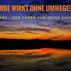 Farbe wirkt - der Turbo für deine Sinne!