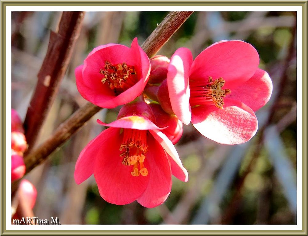 Farbe zeigen (mit Gedicht)