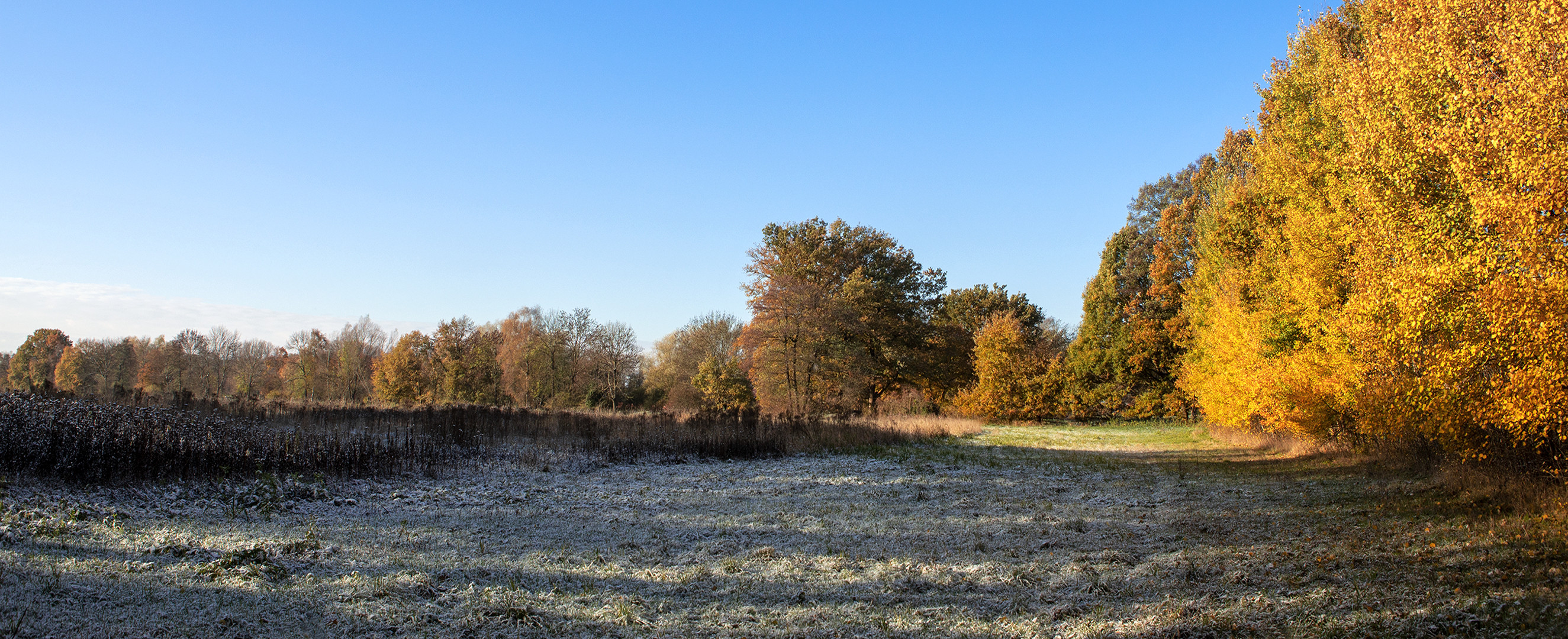 Farbe,Licht und Schatten