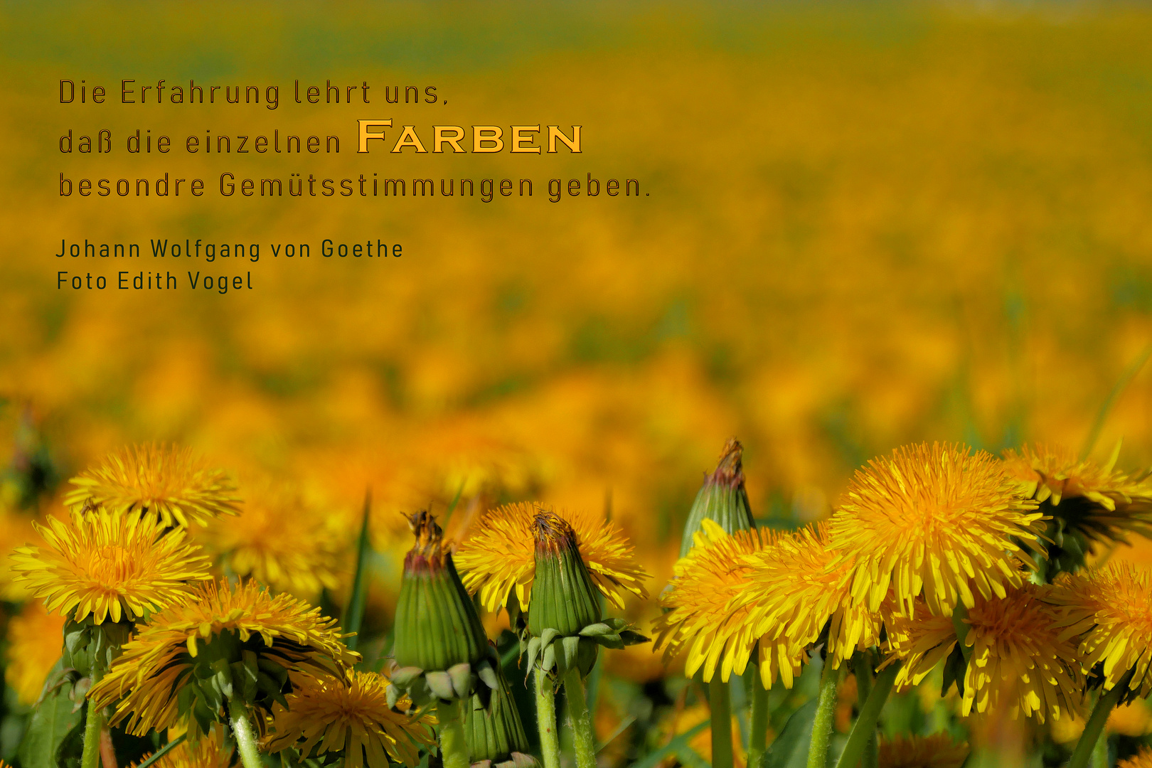 FARBEN