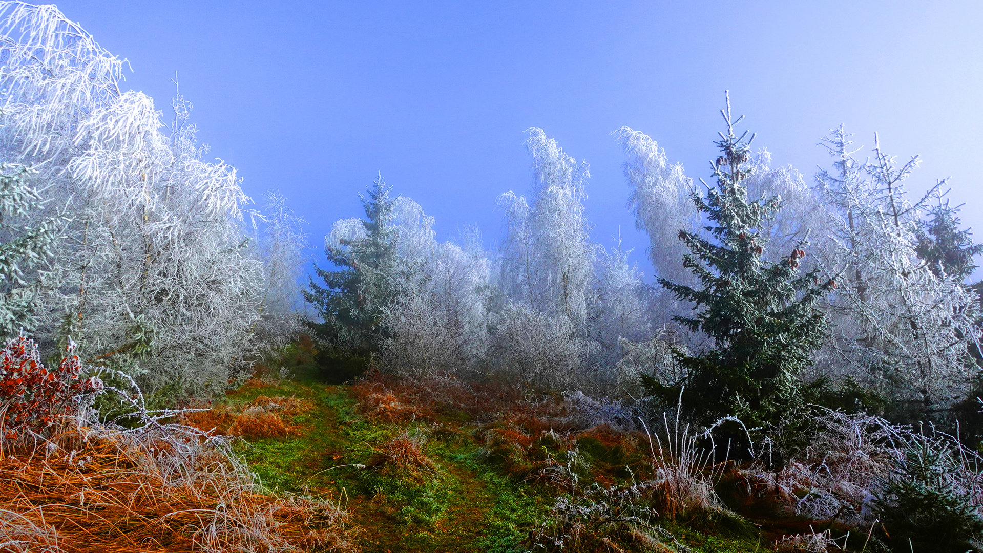 Farben aller Jahreszeiten.....