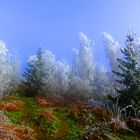 Farben aller Jahreszeiten.....