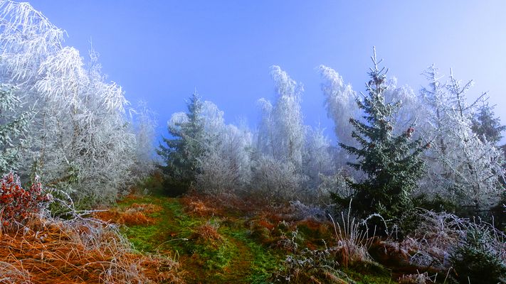 Farben aller Jahreszeiten.....