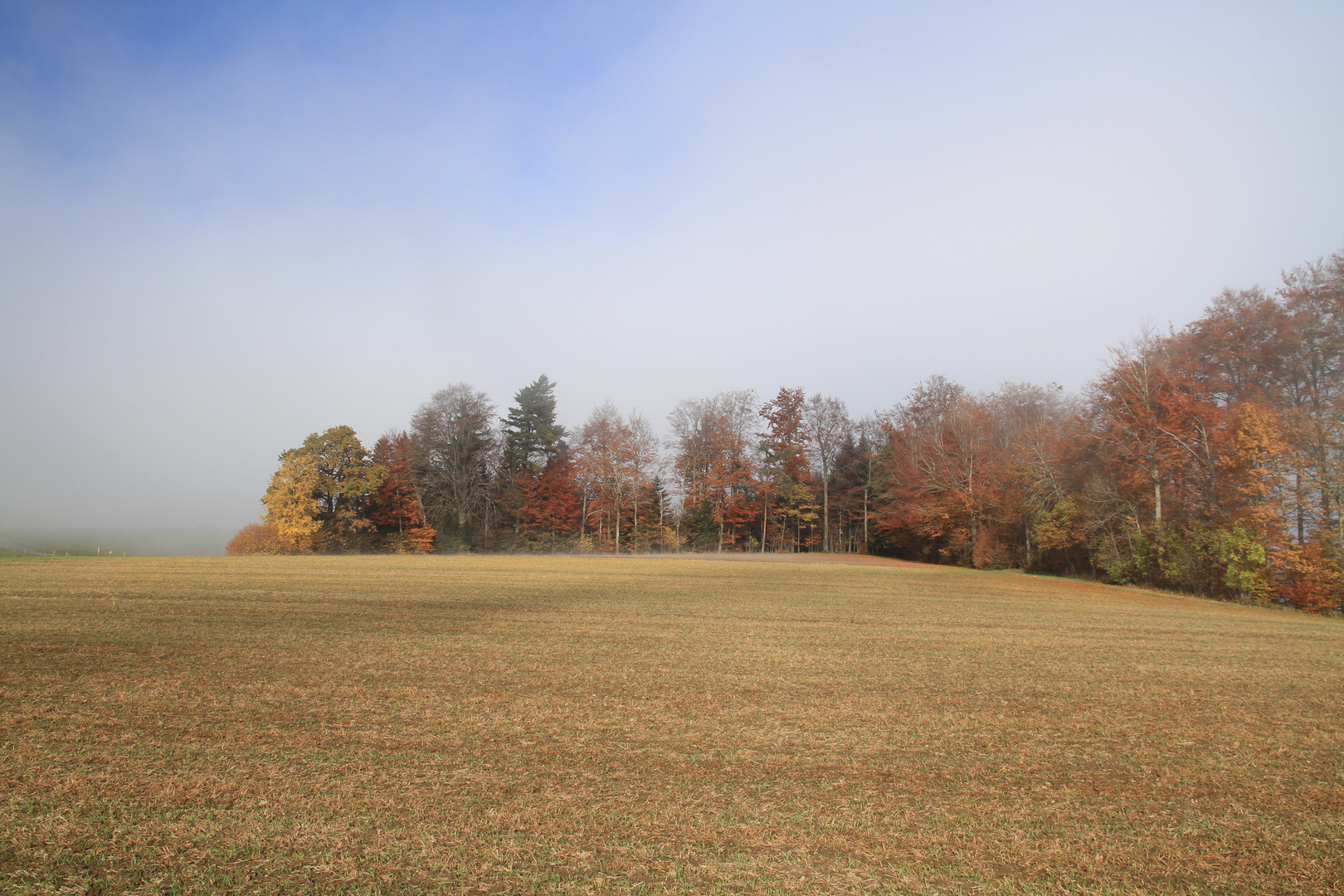 Farben am Nebelrand