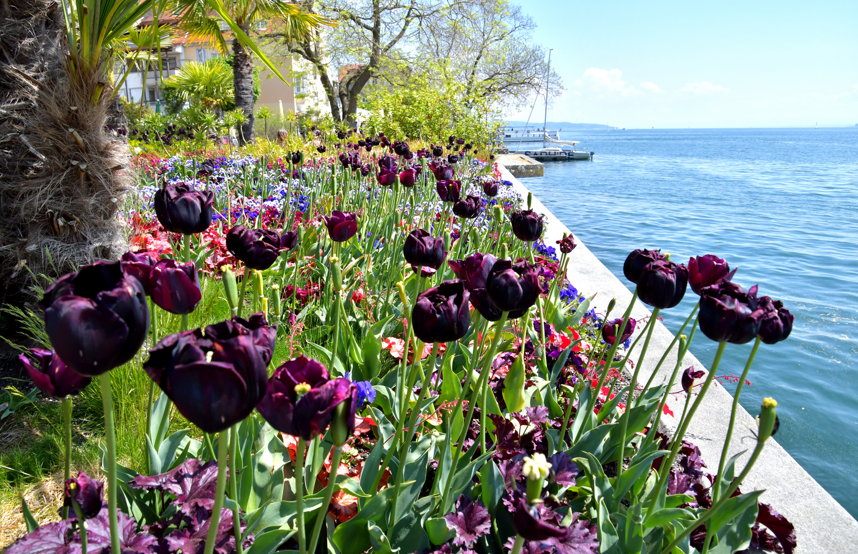 Farben am See