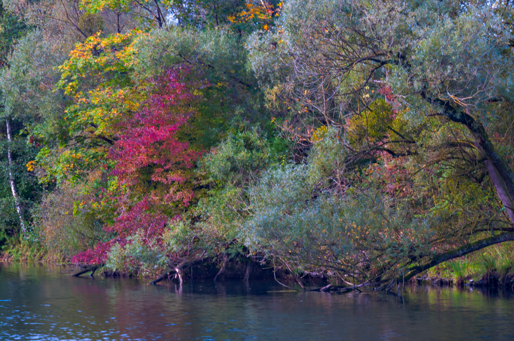 Farben am Wasser