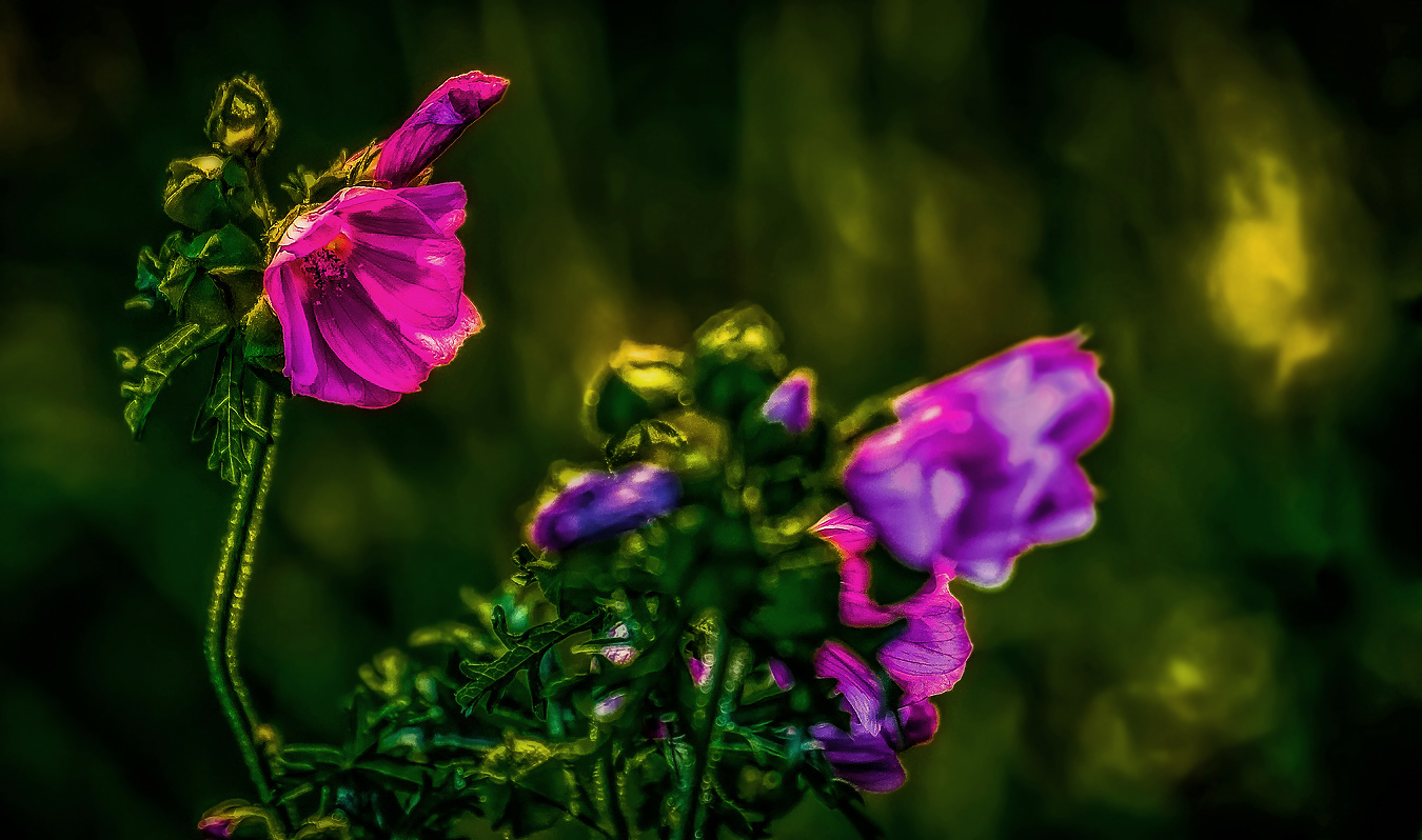 "Farben auf dem Feld"