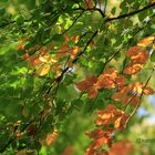 Farben baden - und sich erinnern