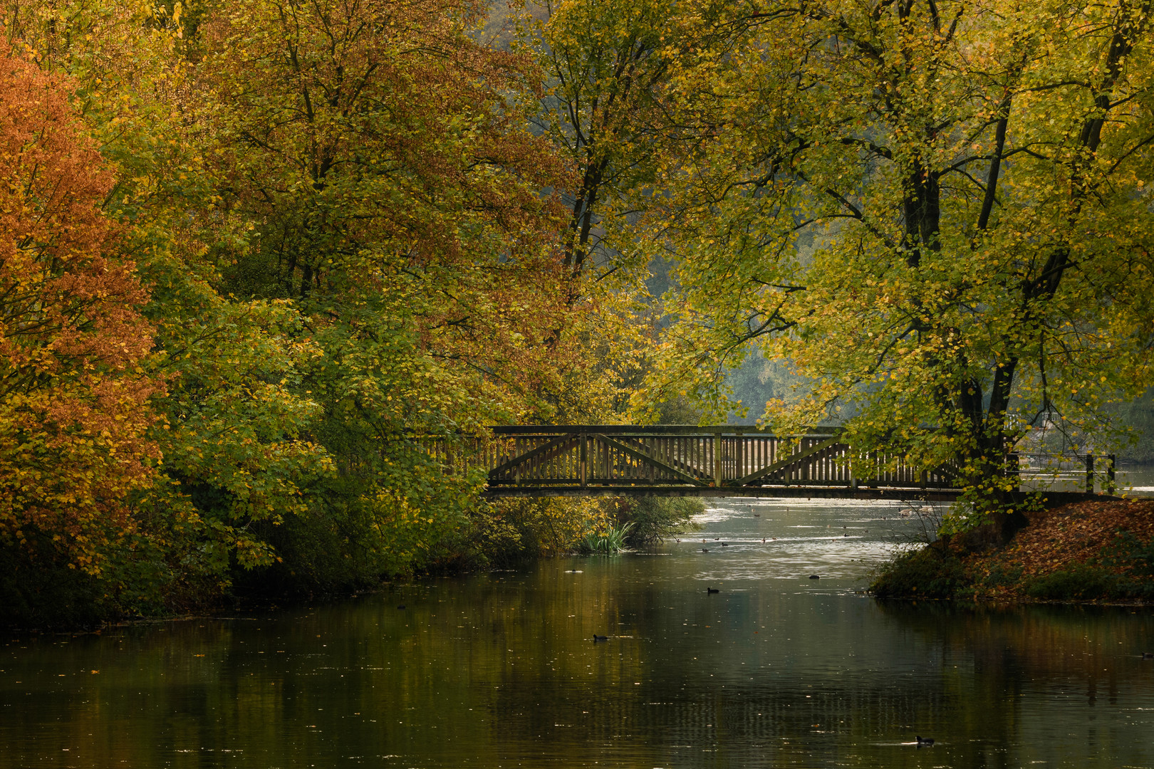 Farben-Brücke