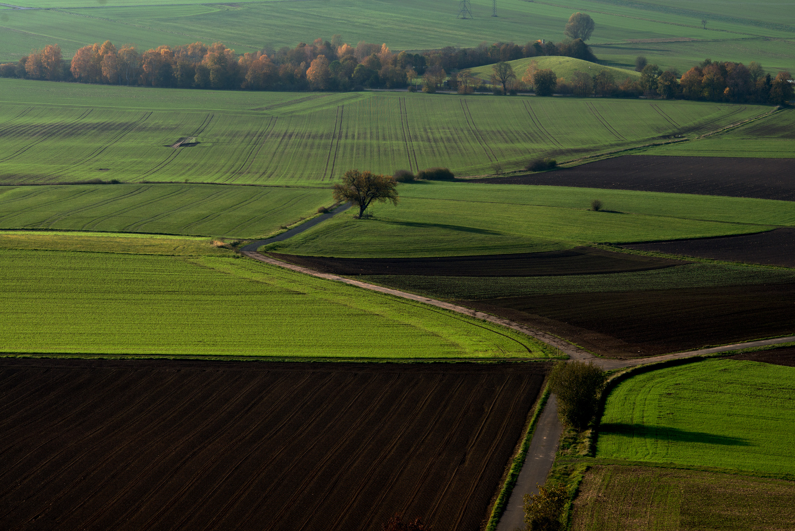 Farben der Felder im Herbst