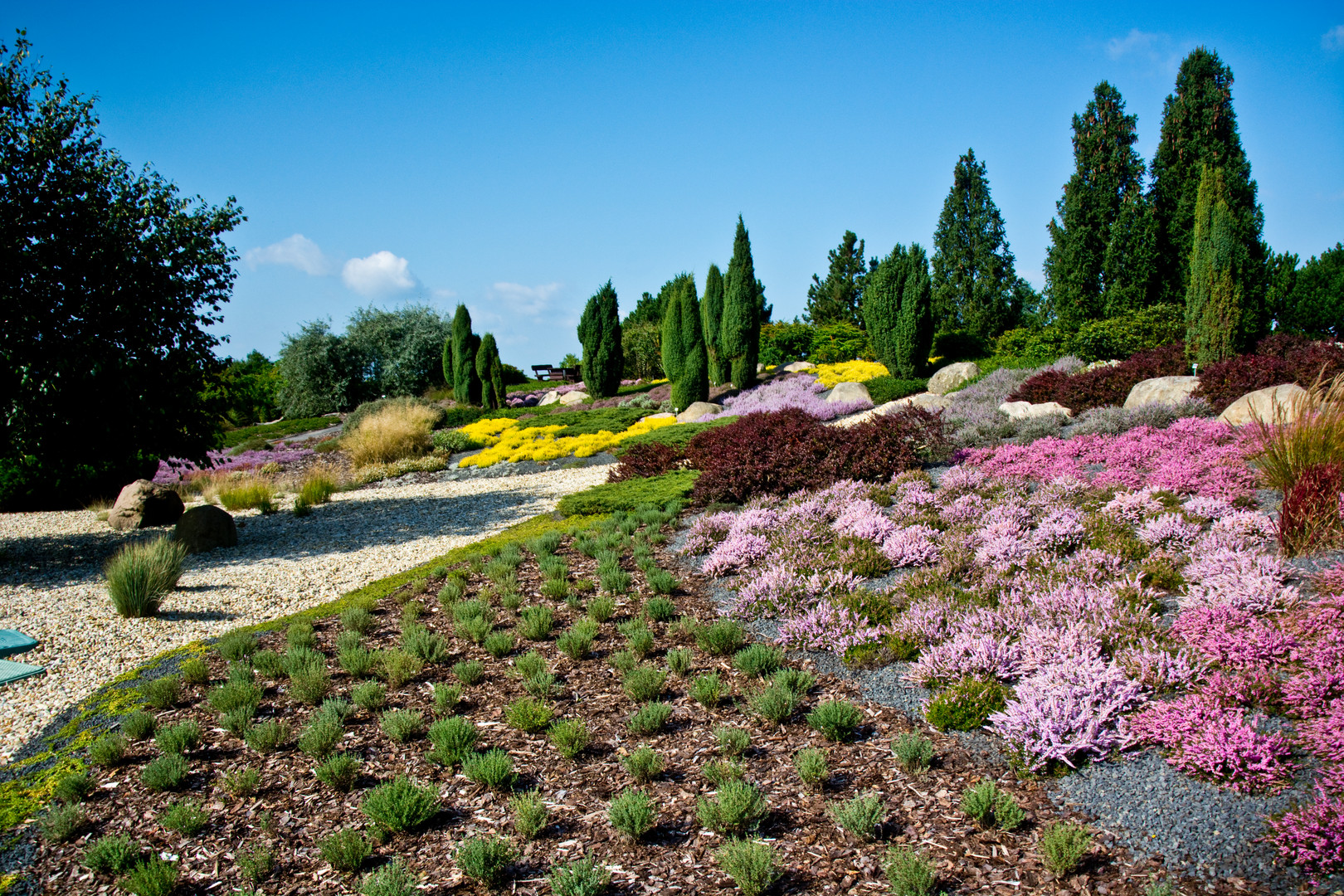 Farben der Heide