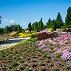 Farben der Heide