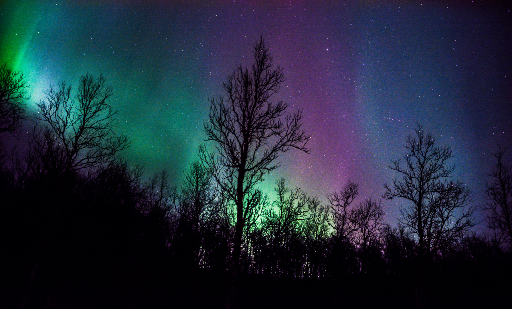 Farben der Nacht