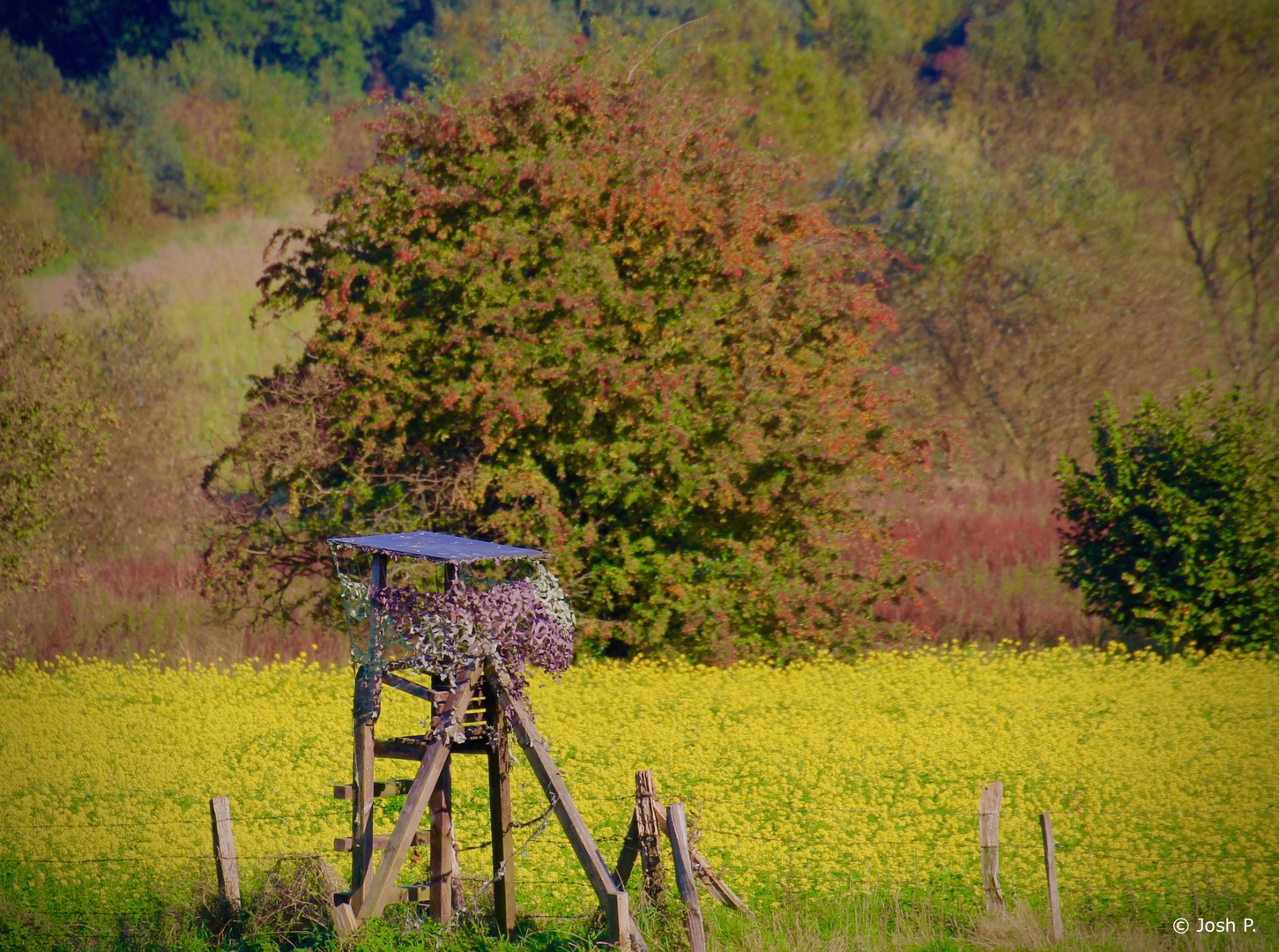 Farben der Natur