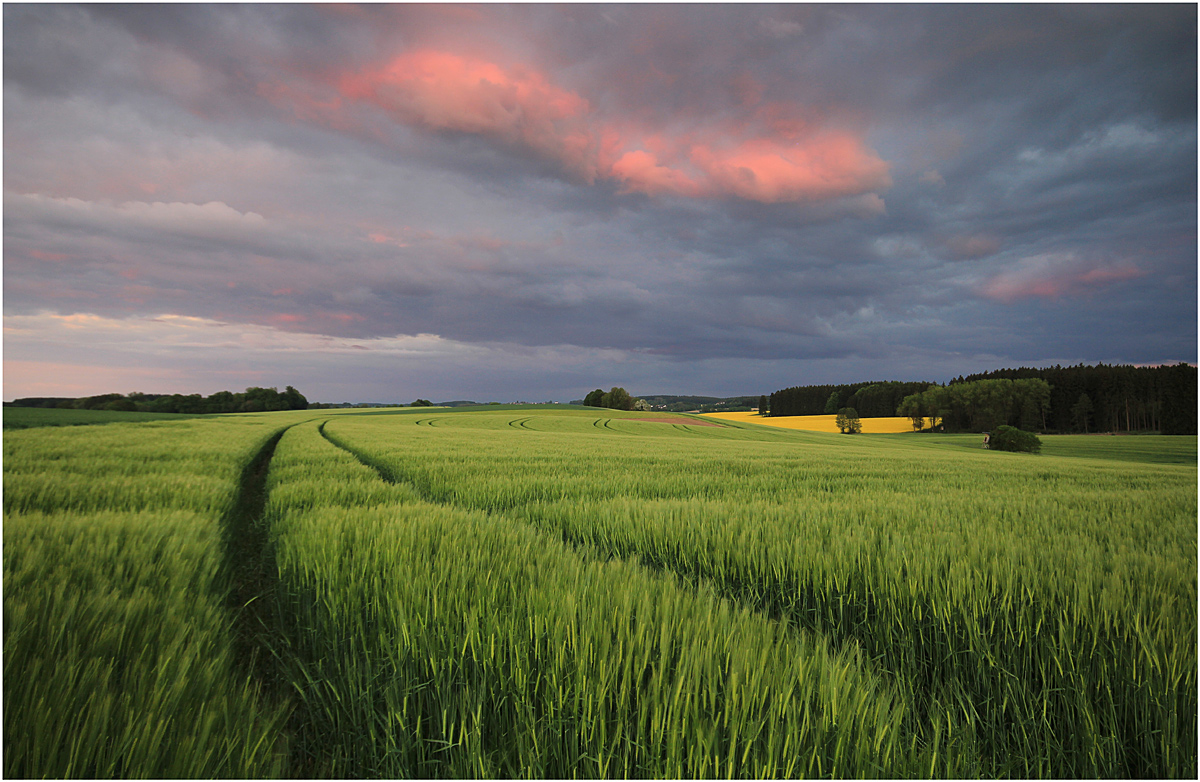 Farben der Natur