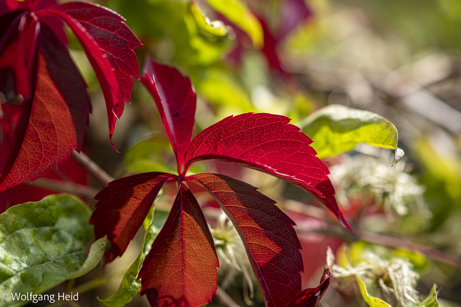 Farben der Natur: