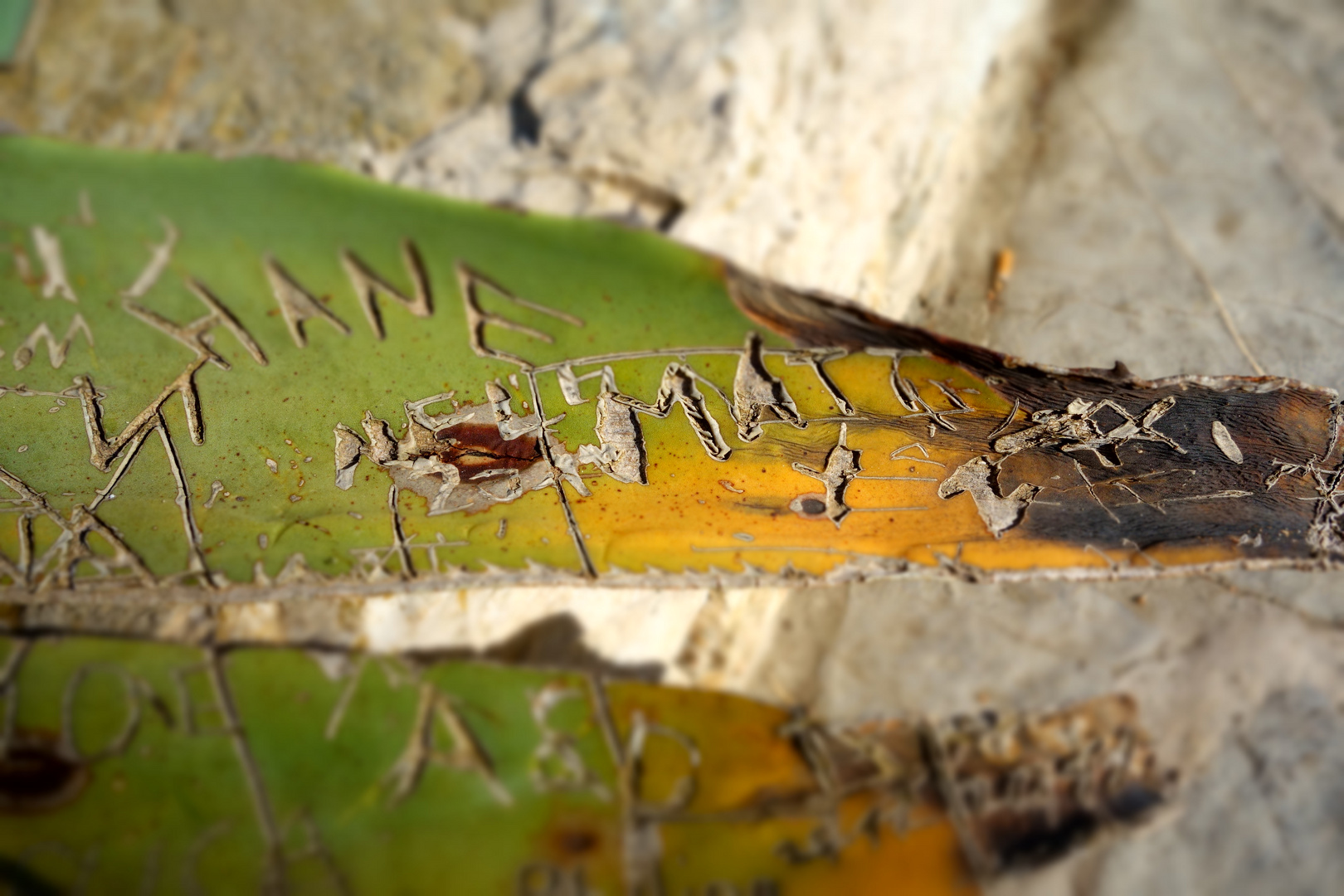 Farben der Natur