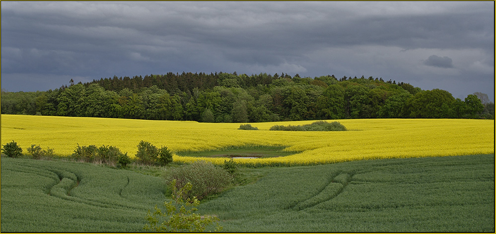 Farben der Natur