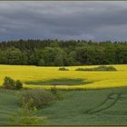 Farben der Natur