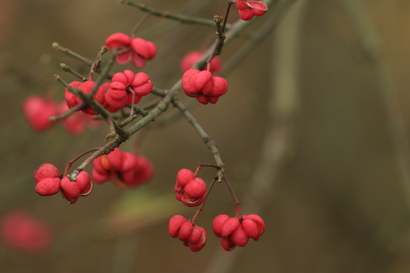 Farben der Natur