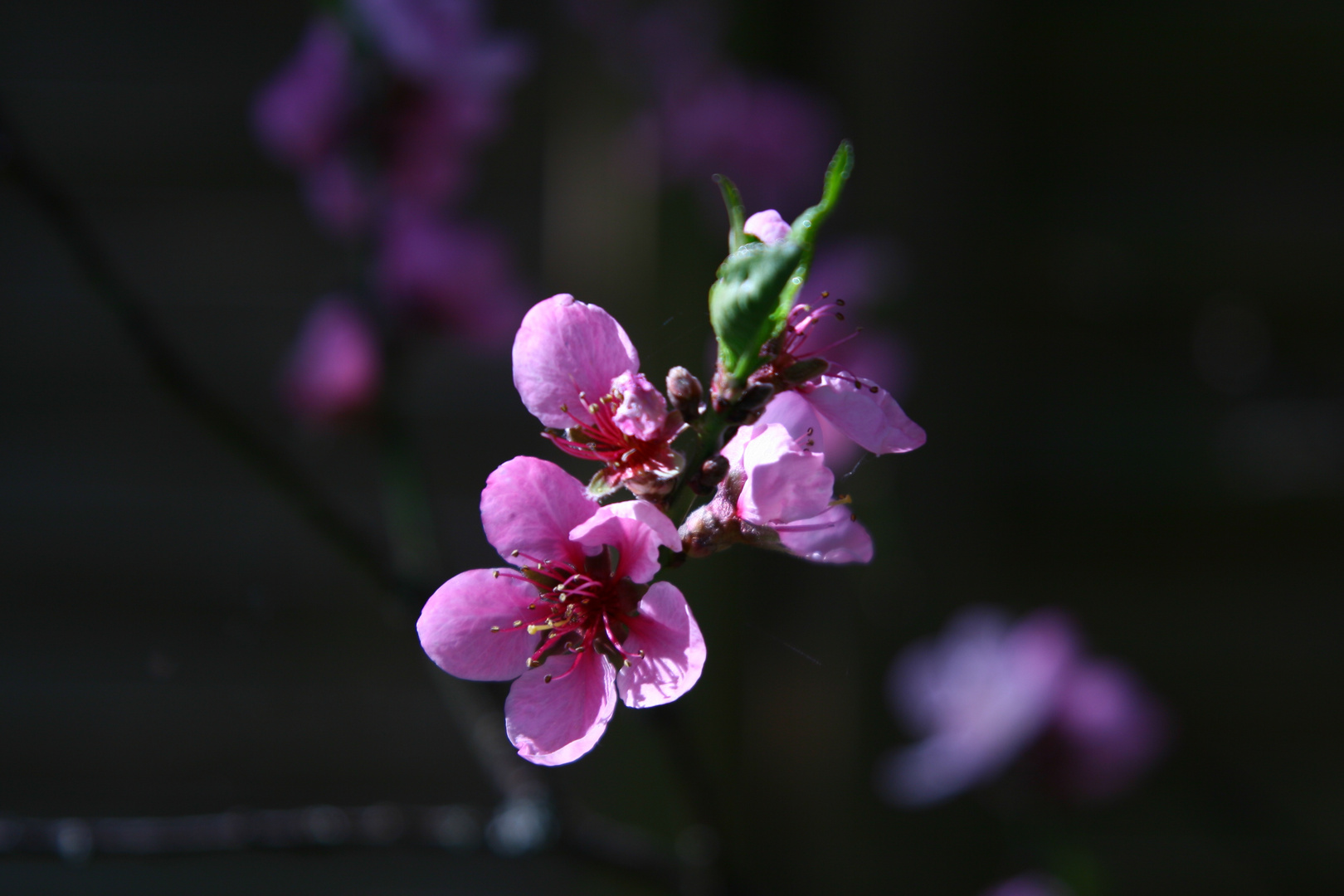 Farben der Natur