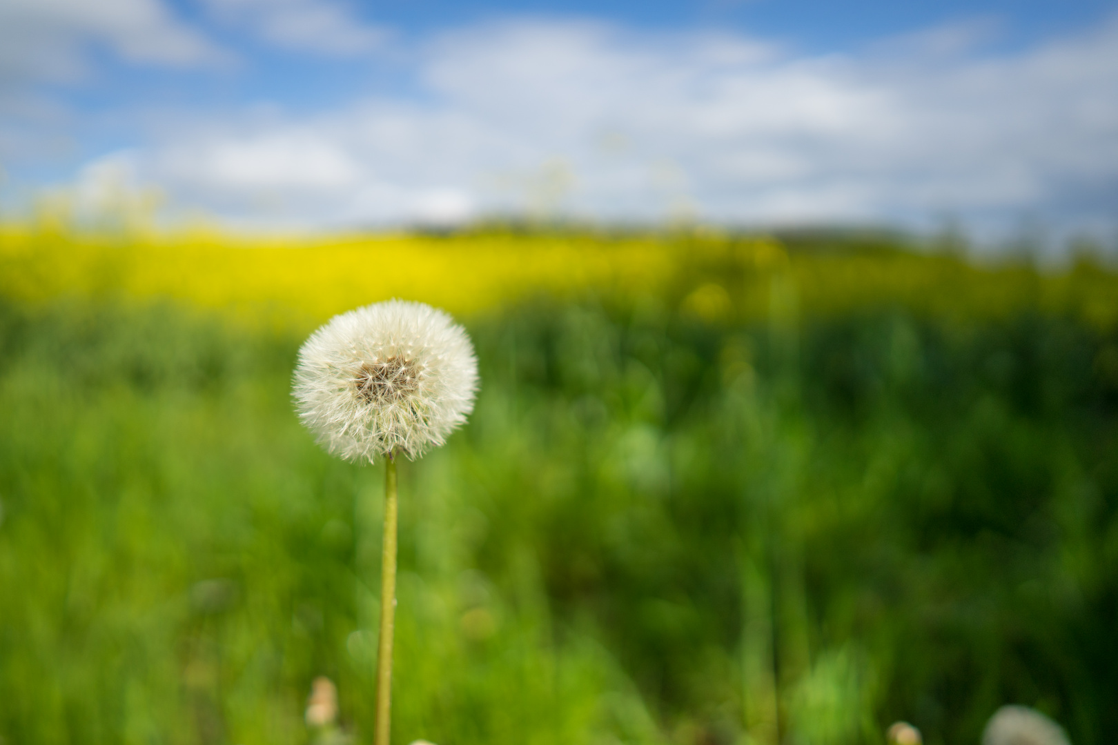 Farben der Natur