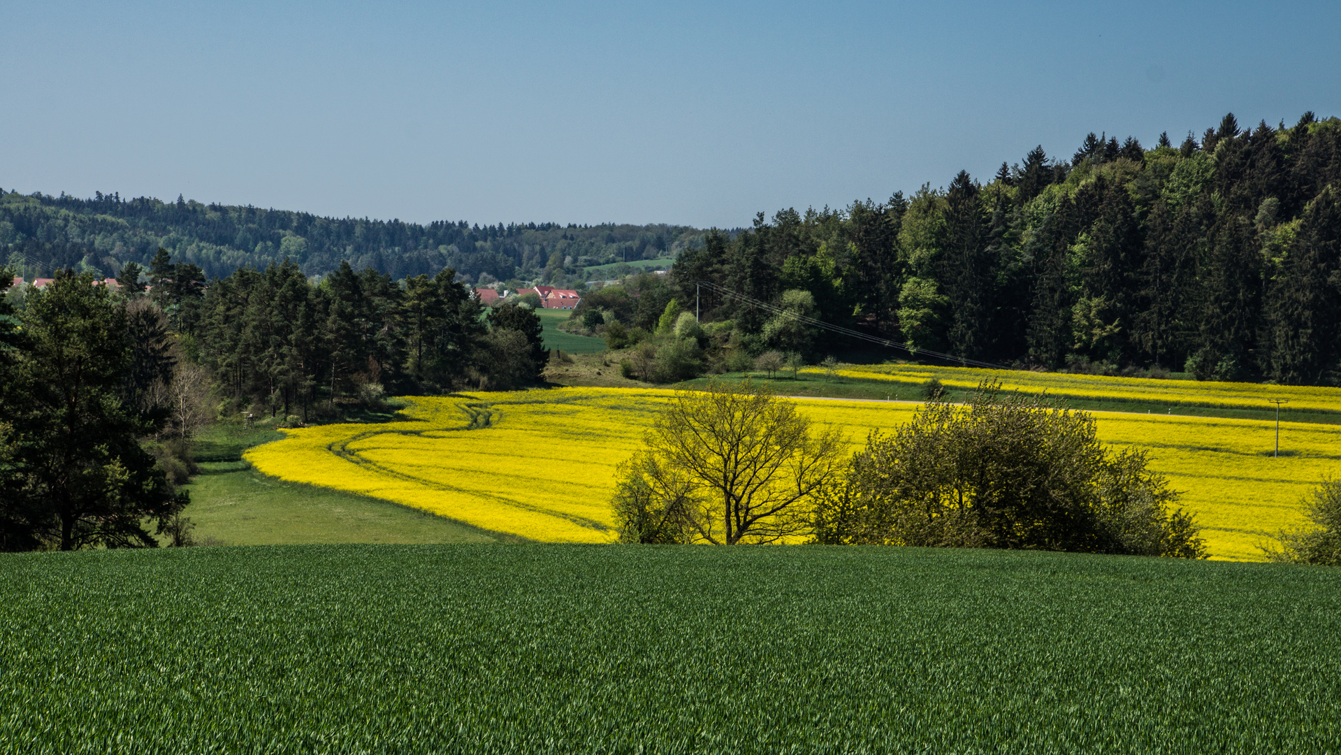 Farben der Natur