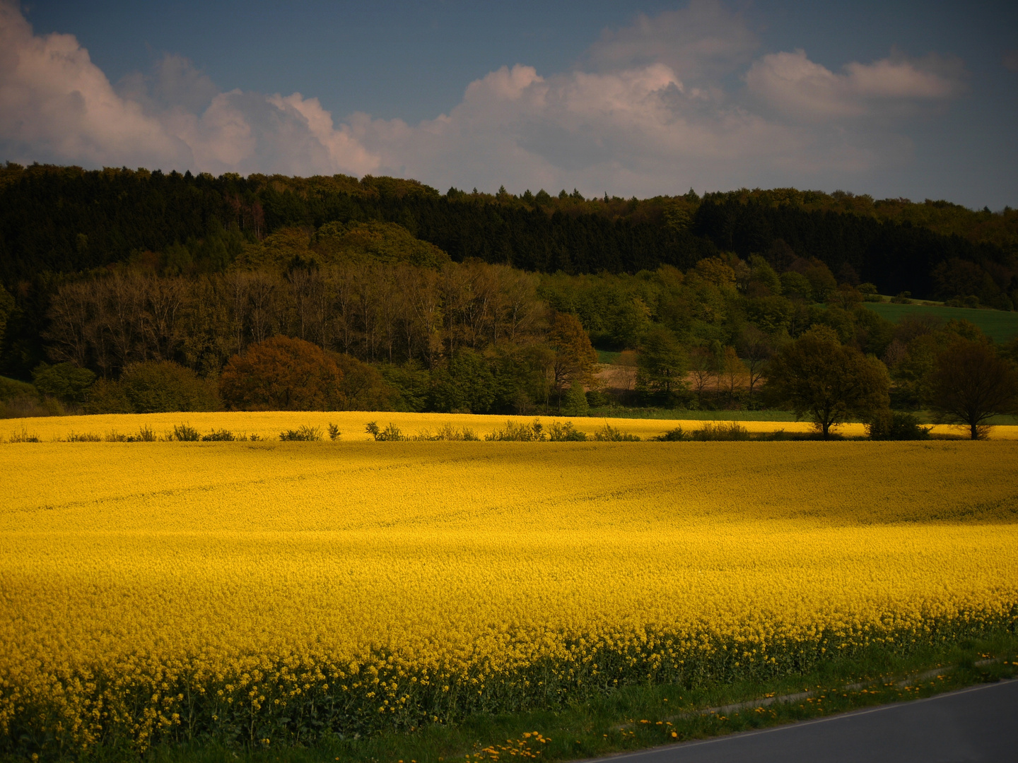 Farben der Natur.....