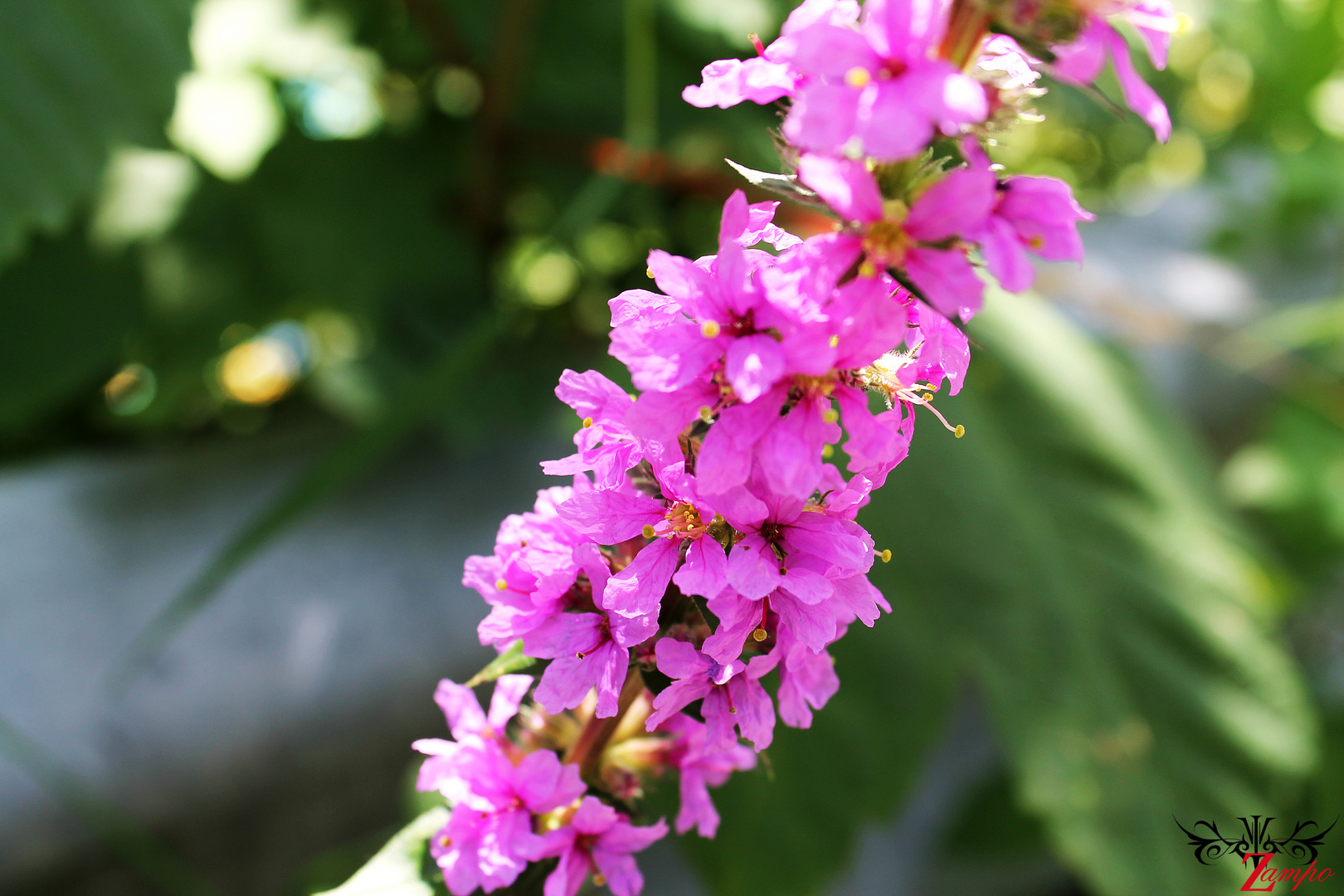 Farben der Natur