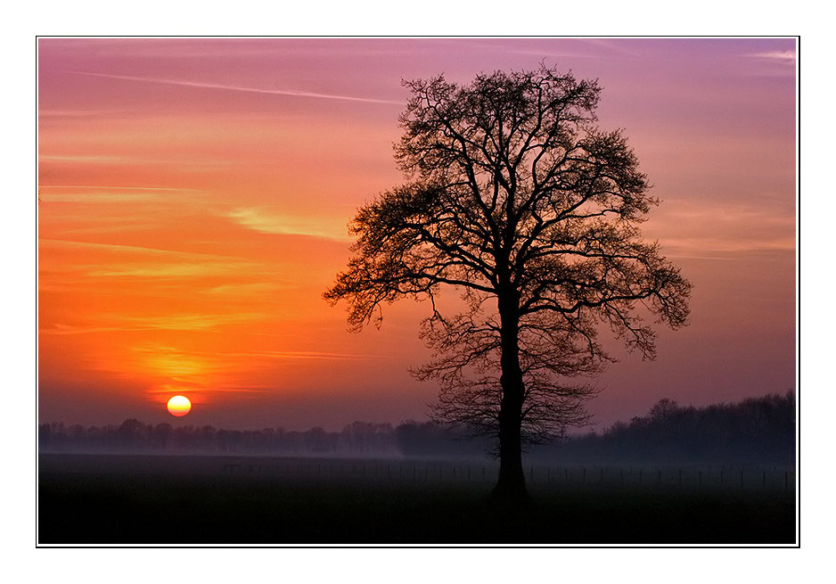 Farben der Natur...