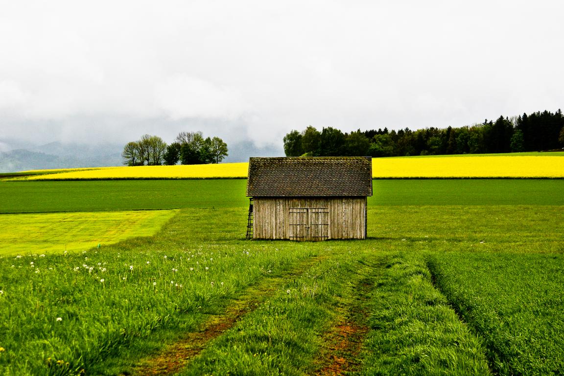 Farben der Natur