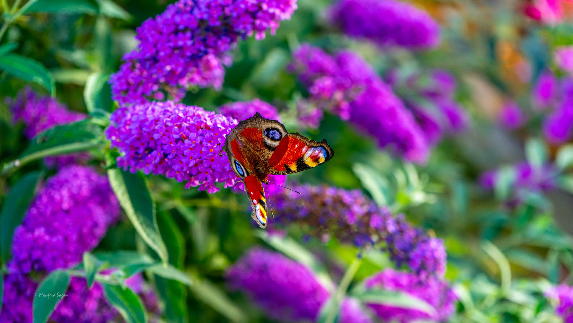 Farben der Natur... 