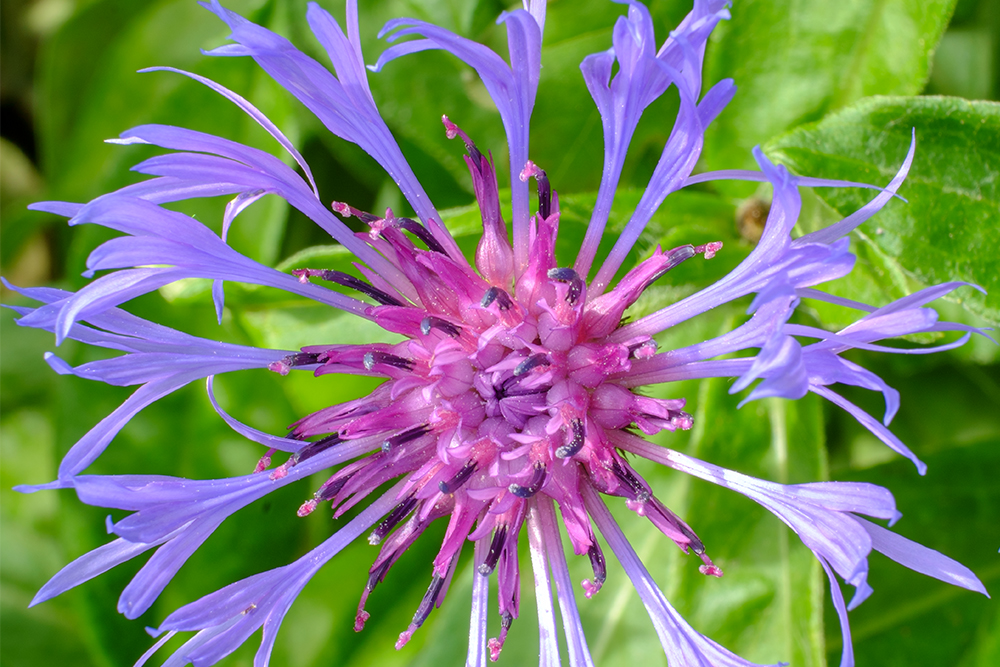 Farben der Natur von emccrunch 